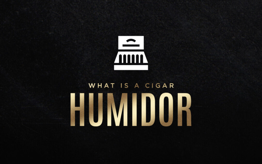 What Is a Cigar Humidor and Why Do You Need One?