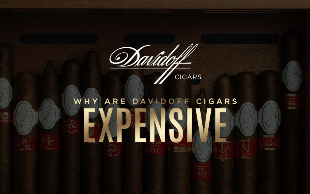 Why Are Davidoff Cigars So Expensive? Exploring the Factors Behind the Price